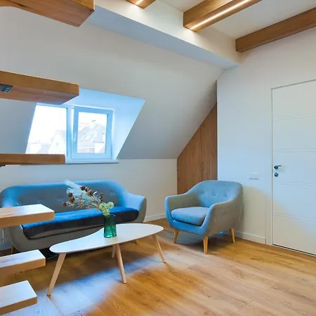 Cosy In The Center With Air Conditioneer! Апартаменты Клайпеда