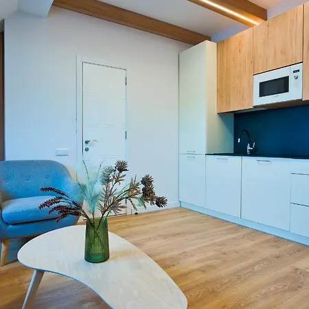 Cosy In The Center With Air Conditioneer! * Клайпеда