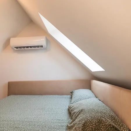 Cosy In The Center With Air Conditioneer! Appartamento Klaipėda