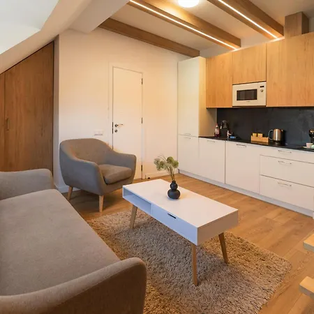 Cosy In The Center With Air Conditioneer! * Klaipėda