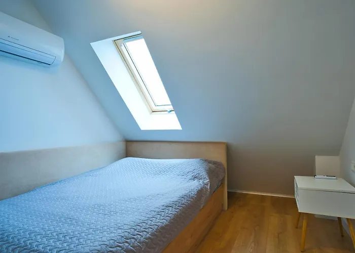 Cosy In The Center With Air Conditioneer! Appartement Klaipėda