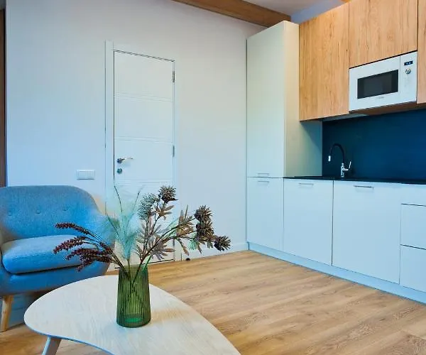 Cosy In The Center With Air Conditioneer! * Klaipėda